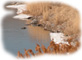 Land and Water
